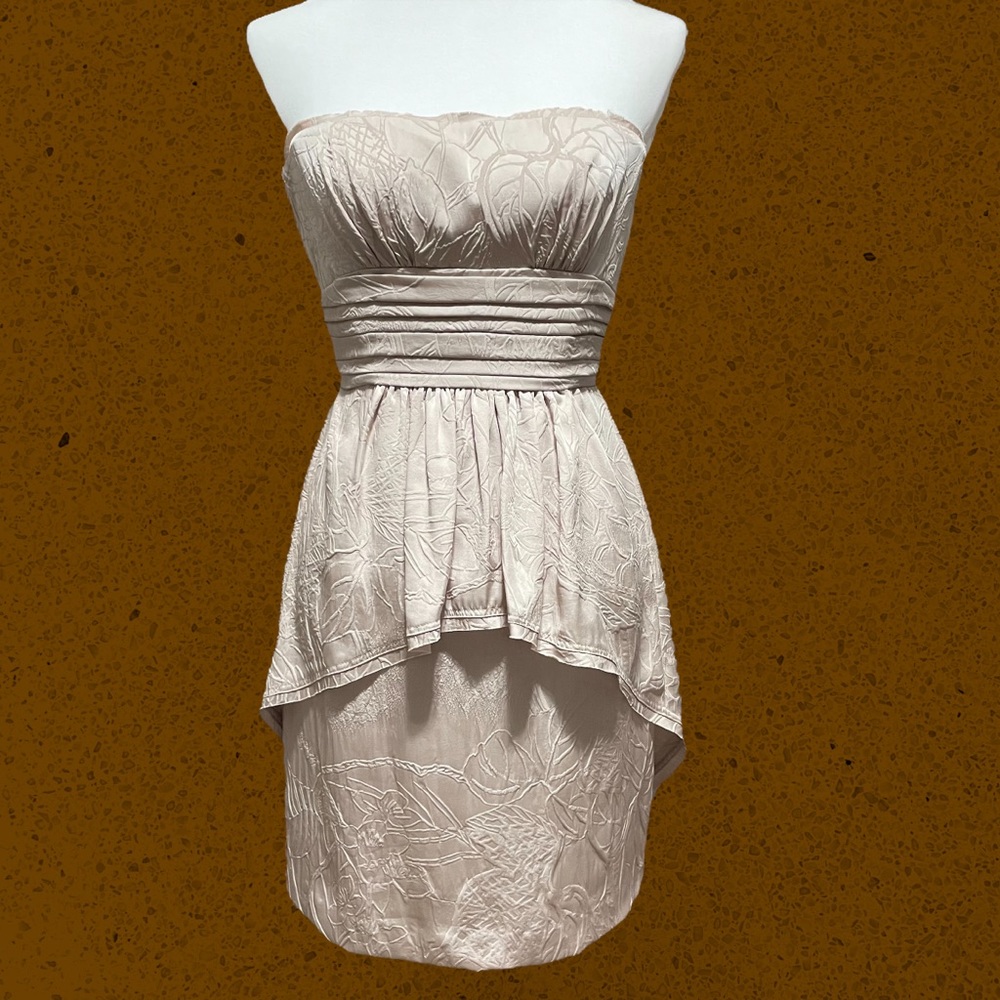 BCBG Maxazria Pretty Champagne Cocktail Dress! Size 2 - NWT
